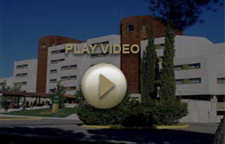 Paradores